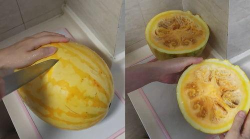 吃瓜视频里面的东西,热门话题背后的真相与笑料 第3张 吃瓜视频里面的东西,热门话题背后的真相与笑料 第3张