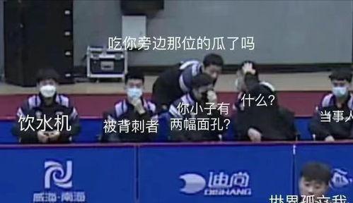 国乒男团吃瓜视频,揭秘赛场背后的欢乐时光  第2张