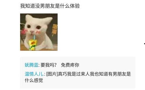 吃瓜闺蜜被喂狗粮视频在线观看,甜蜜瞬间在线观看 第3张 吃瓜闺蜜被喂狗粮视频在线观看,甜蜜瞬间在线观看 第3张