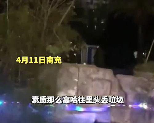 吃瓜女子扔垃圾视频播放,引发网友热议