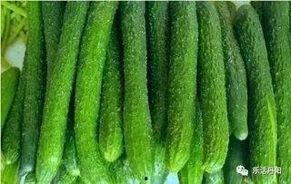 丹阳吃瓜事件真相视频大全,揭秘真相背后的视频大全  第2张