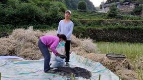 吃瓜狗子被套懵了视频在线观看,萌宠搞笑瞬间，在线观看笑不停