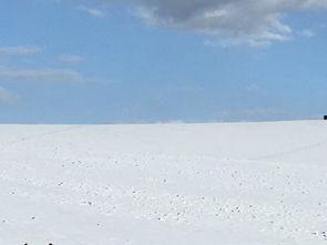 瓜洲吃瓜视频,揭秘网络热点的幕后故事