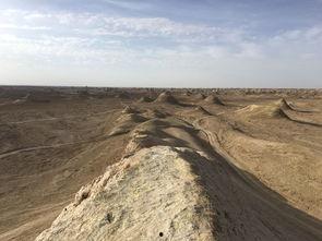 瓜洲吃瓜视频,揭秘网络热点的幕后故事  第3张