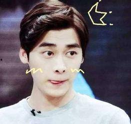 李易峰吃瓜视频网盘链接,李易峰吃瓜视频独家网盘链接大揭秘  第2张