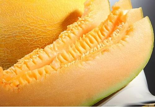 嫩哥吃哈密瓜视频,嫩哥畅享哈密瓜美味时光  第2张