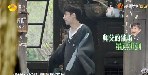 吃瓜视频黄磊在线观看,揭秘娱乐圈幕后故事