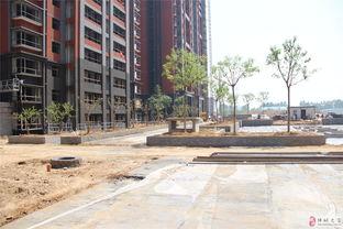 韩城市紫御华府吃瓜视频,揭秘网红小区背后的故事