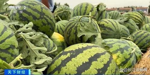 菏泽吃瓜事件视频最新,一场网络热议的瓜田奇谈  第2张