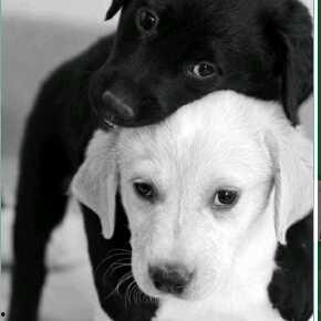 吃瓜猫视频素材网站大全,一网打尽热门搞笑瞬间  第3张