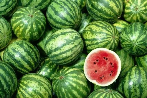 贵州人怎么吃洋瓜好吃视频,洋瓜的独特吃法揭秘 第2张 贵州人怎么吃洋瓜好吃视频,洋瓜的独特吃法揭秘 第2张