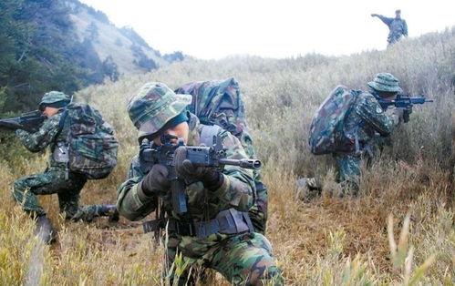 台湾部队吃瓜视频大全下载,趣味瞬间尽收眼底