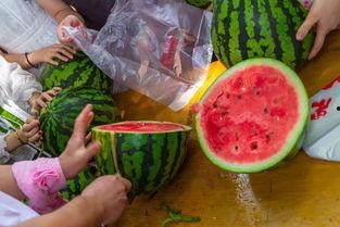 最经典的吃瓜视频  第2张