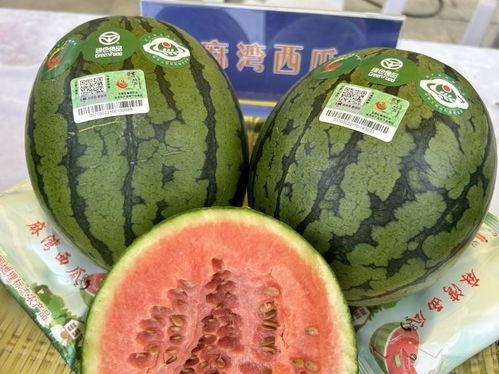 特产瓜条能直接吃吗视频,特产瓜条可直接食用，轻松享受健康美味  第3张