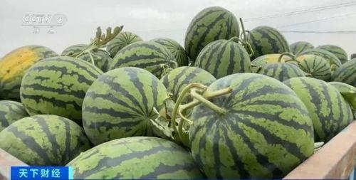 宜昌17件吃瓜事件视频,揭秘网络热议背后的真相