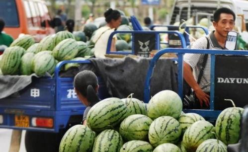帝景城吃瓜视频最新,揭秘网红小区背后的惊人真相