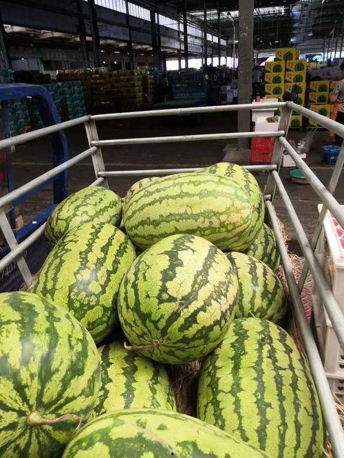 帝景城吃瓜视频最新,揭秘网红小区背后的惊人真相  第3张