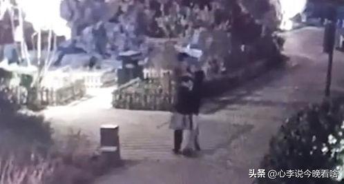 版纳吃瓜事件视频最新,一场引发热议的网络狂欢