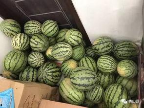 吃瓜霸王花视频有哪些,揭秘视频背后的热点与笑料  第3张