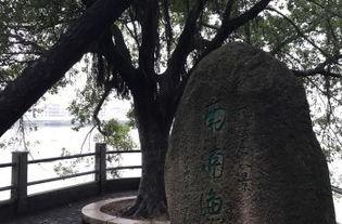 揭阳榕西湖吃瓜事件视频,一场网络热议的美食争议  第2张