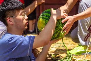 各大学最新吃瓜视频,最新吃瓜视频盘点，揭秘校园生活那些事儿