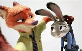 疯狂动物城吃瓜视频大全,揭秘吃瓜视频背后的欢乐与感动  第2张