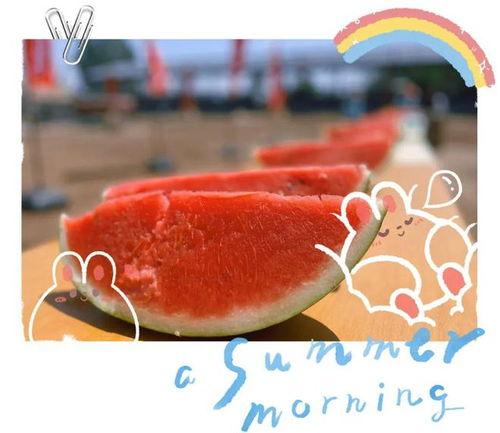 大型吃瓜现场分享视频,揭秘幕后真相,视频带你直击现场 第2张 大型吃瓜现场分享视频,揭秘幕后真相,视频带你直击现场 第2张