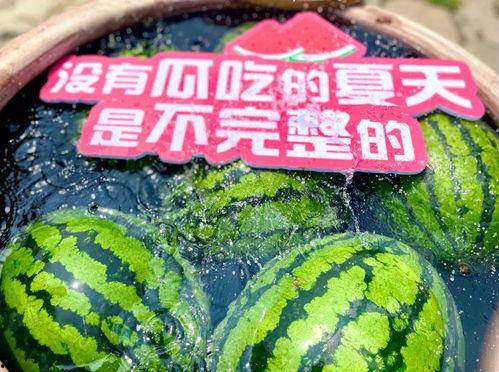 大型吃瓜现场分享视频,揭秘幕后真相,视频带你直击现场 第3张 大型吃瓜现场分享视频,揭秘幕后真相,视频带你直击现场 第3张