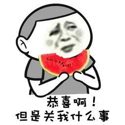 吃瓜群众郑某某被抓视频,吃瓜群众目睹惊心一幕  第3张