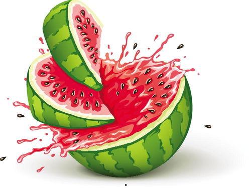 欢乐吃瓜的视频,揭秘热门视频背后的趣味故事  第2张