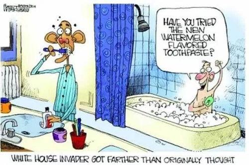 讽刺吃瓜短视频,你还在盲目跟风吗？