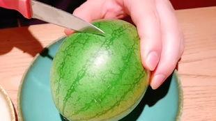 西瓜结的小瓜可以吃吗视频,揭秘可食用的小秘密  第2张