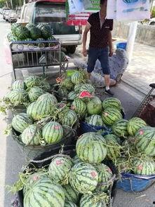 商洛万达吃瓜事件视频,一场网络热议的围观与反思  第2张