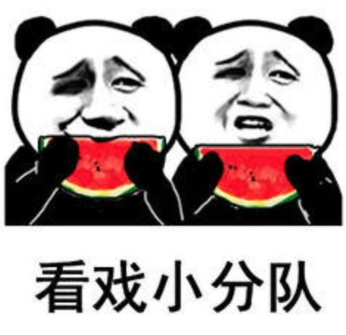 吃瓜表情包直男视频,趣味视频揭秘  第3张