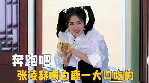 圈内吃瓜白鹿张凌赫视频