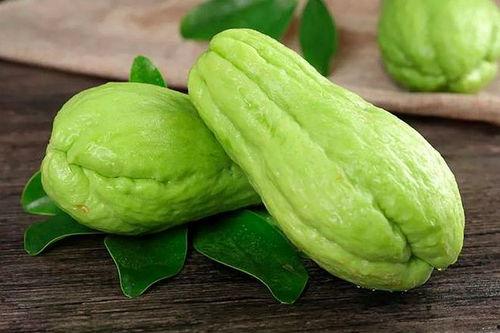 占瓜种子可以吃吗视频,可食用还是禁忌？