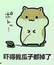 管住嘴吃瓜视频,揭秘网络短视频的诱惑与反思  第3张