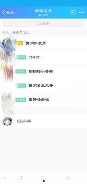 视频吃瓜群聊名称大全集,趣味横生的网络社交新潮流