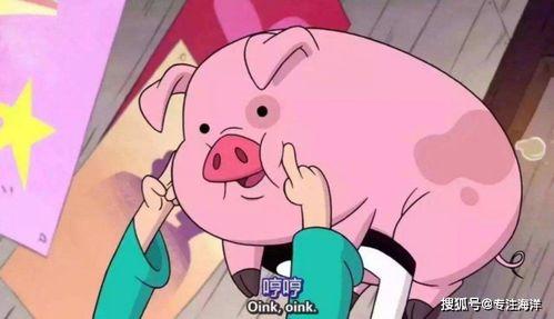 吃瓜少女猪小冰视频大全,笑料百出，欢乐无限