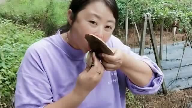 吃八月瓜的主播是谁啊视频,吃八月瓜的神秘主播是谁? 第3张 吃八月瓜的主播是谁啊视频,吃八月瓜的神秘主播是谁? 第3张