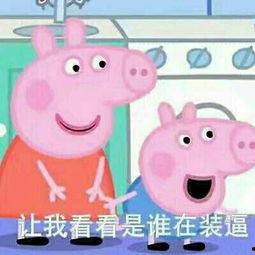 小猪吃瓜配音搞笑视频大全,小猪吃瓜配音搞笑视频大盘点  第3张