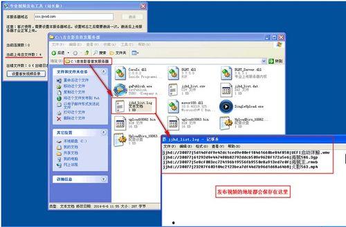 吃瓜视频站长工具下载,一键下载，轻松掌握视频内容  第3张