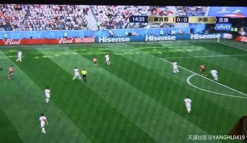 吃瓜群众踢足球视频在线观看,在线观看踢球视频的欢乐时光  第2张