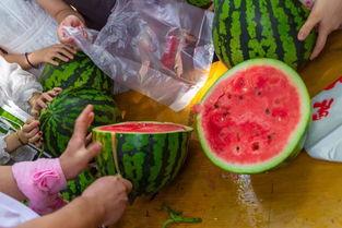 西宁吃瓜视频,一场视觉与味蕾的双重盛宴  第2张