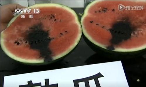 西宁吃瓜视频,一场视觉与味蕾的双重盛宴  第3张