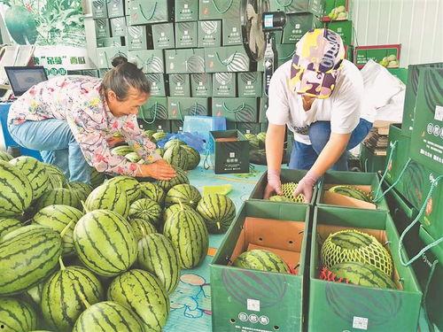 最近泗水吃瓜事件视频,一场网络热议的真相揭秘  第2张