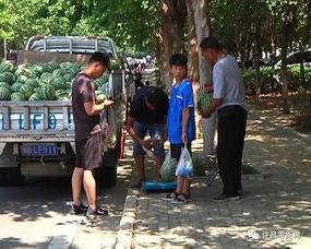 云南热心吃瓜群众视频大全,趣味横生的云南生活剪影  第2张