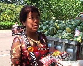 云南热心吃瓜群众视频大全,趣味横生的云南生活剪影  第3张