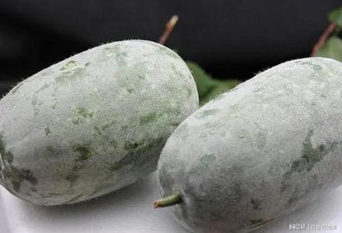 一线吃瓜视频在哪里看,热门平台大汇总