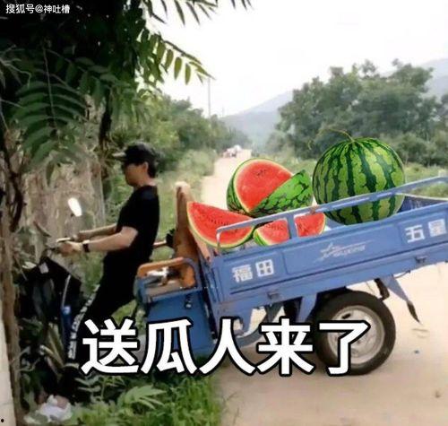 一线吃瓜视频在哪里看,热门平台大汇总  第2张